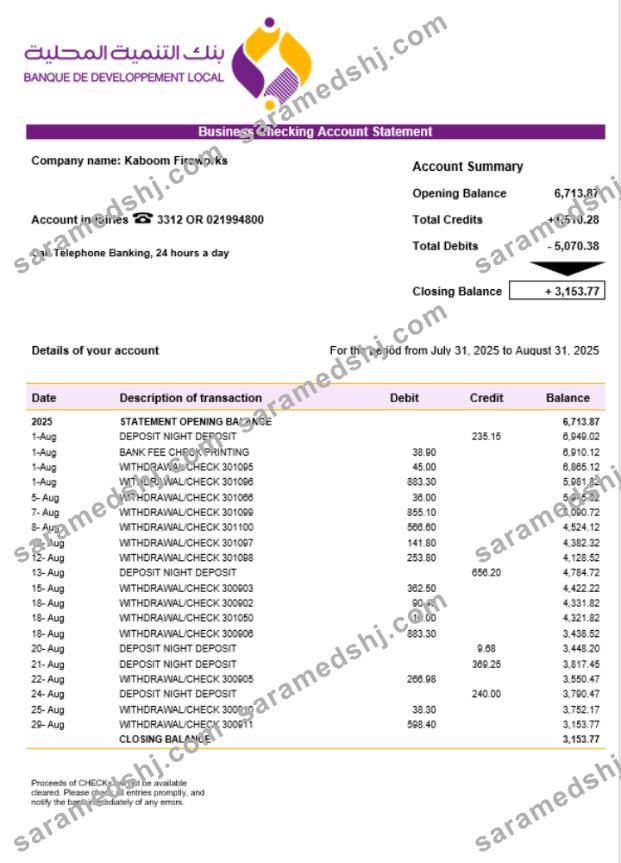 Banque de Developement Local (BDL) business statement Word and PDF template